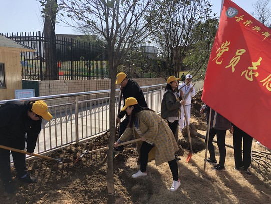 买球的app官网党员志愿服务队开展义务植树活动